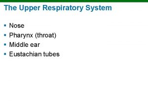 The Upper Respiratory System Nose Pharynx throat Middle