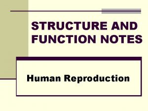 STRUCTURE AND FUNCTION NOTES Human Reproduction SEXUAL REPRODUCTION