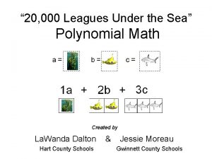 20 000 Leagues Under the Sea Polynomial Math