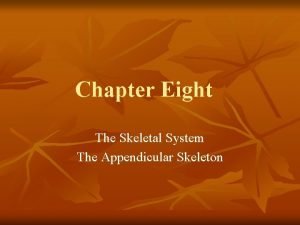 Chapter Eight The Skeletal System The Appendicular Skeleton