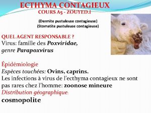 ECTHYMA CONTAGIEUX COURS A 5 ZOUYED I Dermite
