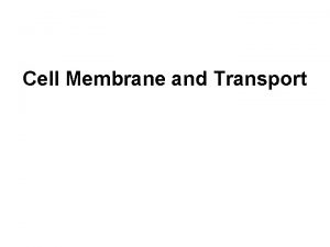 Cell Membrane and Transport Cell Size Cells Have