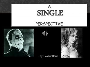 A SINGLE PERSPECTIVE By Heather Bruun DISCLAIMER This