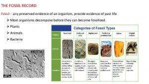 THE FOSSIL RECORD Fossil any preserved evidence of