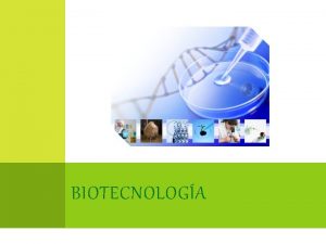 BIOTECNOLOGA La biotecnologa consiste simplemente en la utilizacin