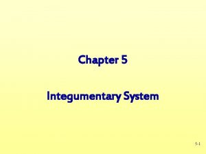 Chapter 5 Integumentary System 5 1 Integumentary System