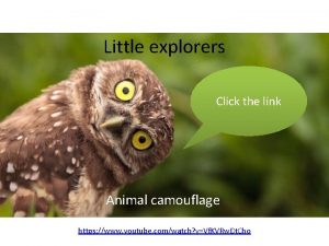 Little explorers Click the link Animal camouflage https