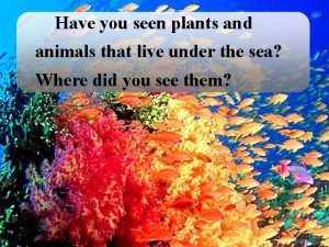 Have you seen plants and animals that live