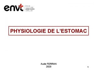 PHYSIOLOGIE DE LESTOMAC Aude FERRAN 2020 1 Plan