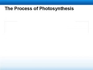 The Process of Photosynthesis Learning Objectives Explain what