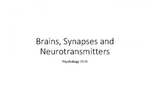 Brains Synapses and Neurotransmitters Psychology 3506 Introduction Well