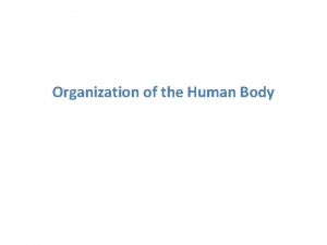 Organization of the Human Body Organization of the
