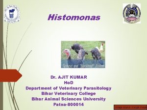 Histomonas Dr AJIT KUMAR Ho D Department of