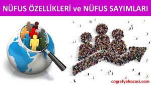 NFUS ZELLKLER ve NFUS SAYIMLARI cografyahocasi com NELER