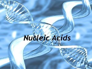 Nucleic Acids Nucleic Acid Structure Polymer 4 th