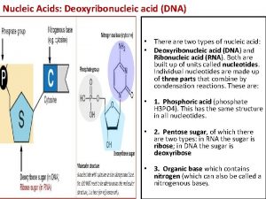 Nucleic Acids Deoxyribonucleic acid DNA There are two