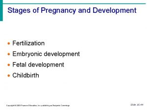 Stages of Pregnancy and Development Fertilization Embryonic development