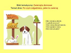 Blok tematyczny Zwierzta domowe Temat dnia Po czym