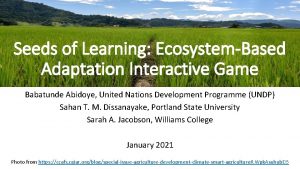 Seeds of Learning EcosystemBased Adaptation Interactive Game Babatunde