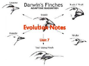 Evolution Notes Unit 7 Evolution A change in