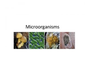 Microorganisms What are microorganisms A microorganism is an