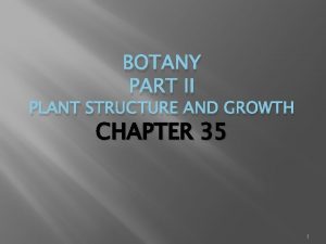 BOTANY PART II PLANT STRUCTURE AND GROWTH CHAPTER