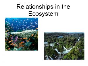Relationships in the Ecosystem Predation Predation the act