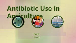 Antibiotic Use in Agriculture Sara Pratt Antibiotic Background