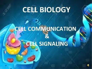 CELL BIOLOGY CELL COMMUNICATION CELL SIGNALING CELL COMMUNICATION