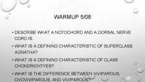 WARMUP 508 DESCRIBE WHAT A NOTOCHORD AND A