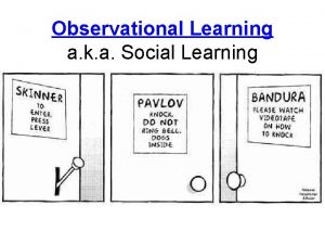 Observational Learning a k a Social Learning Observational