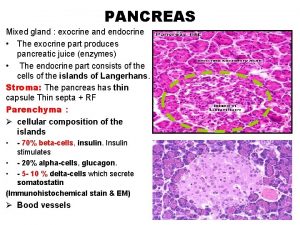 PANCREAS Mixed gland exocrine and endocrine The exocrine