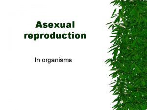 Asexual reproduction In organisms Asexual spores Spore Formation