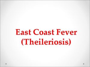 East Coast Fever Theileriosis Theileriosis are those tickborne