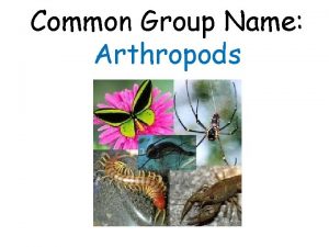 Common Group Name Arthropods Phylum Arthropoda Subphyla Crustaceans