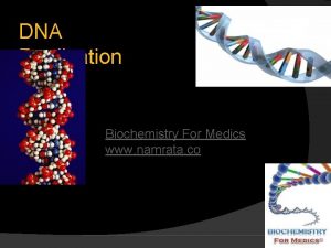 DNA Replication Biochemistry For Medics www namrata co