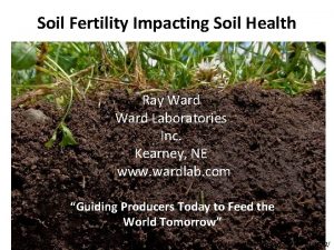 Soil Fertility Impacting Soil Health Ray Ward Laboratories