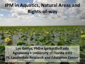 IPM in Aquatics Natural Areas and Rightsofway Lyn