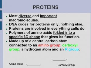 PROTEINS Most diverse and important macromolecules DNA codes