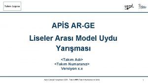 Takm Logosu APS ARGE Liseler Aras Model Uydu