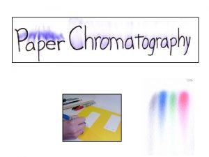 Paper Chromatography of a Spinach Leaf Lab Paper