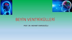 BEYN VENTRKLLER PROF DR MEHMET EMRZEOLU BEYN VENTRKLLER