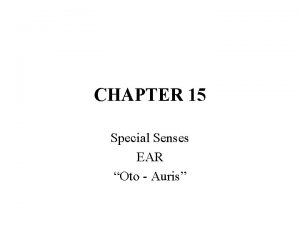 CHAPTER 15 Special Senses EAR Oto Auris EAR
