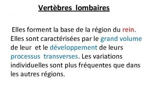 Vertbres lombaires Elles forment la base de la