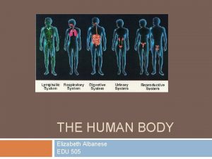 THE HUMAN BODY Elizabeth Albanese EDU 505 Introduction