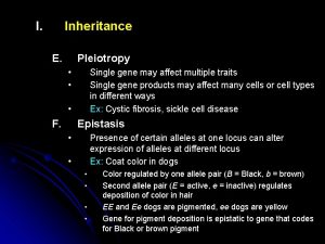 I Inheritance E Pleiotropy Single gene may affect