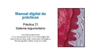 Manual digital de prcticas Prctica 21 Sistema tegumentario