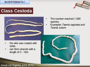 INVERTEBRATA I Class Cestoda His skin was coated