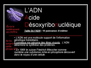 cris le entirement en chiffre LADN Acide Dsoxyribonuclique