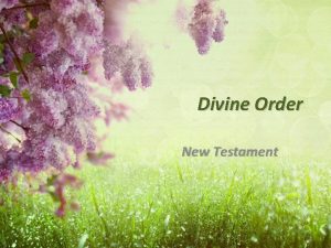 Divine Order New Testament It has been our